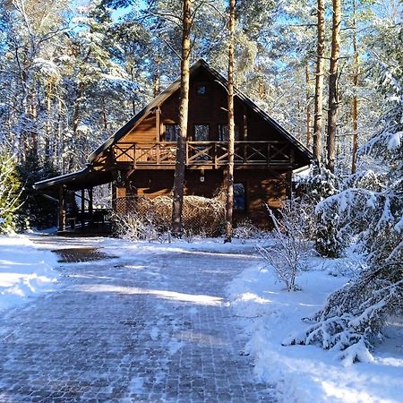 Вилла Lesna Ostoja Nad Pilica Lechanice Экстерьер фото
