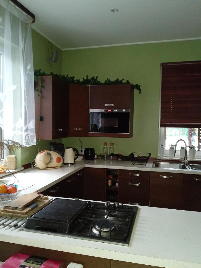 Вилла Lesna Ostoja Nad Pilica Lechanice Экстерьер фото