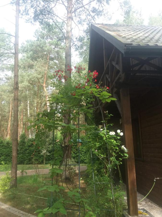 Вилла Lesna Ostoja Nad Pilica Lechanice Экстерьер фото