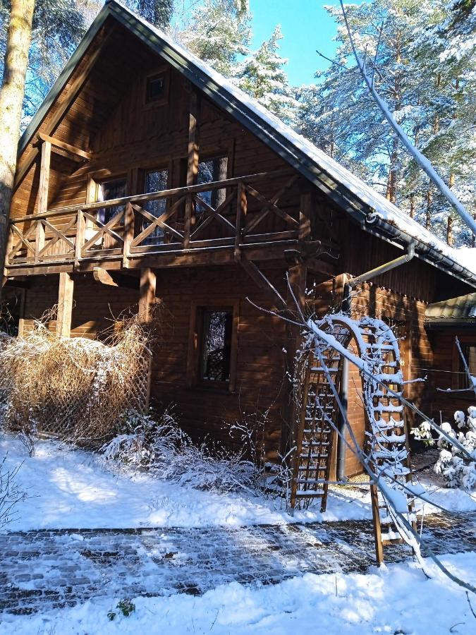 Вилла Lesna Ostoja Nad Pilica Lechanice Экстерьер фото