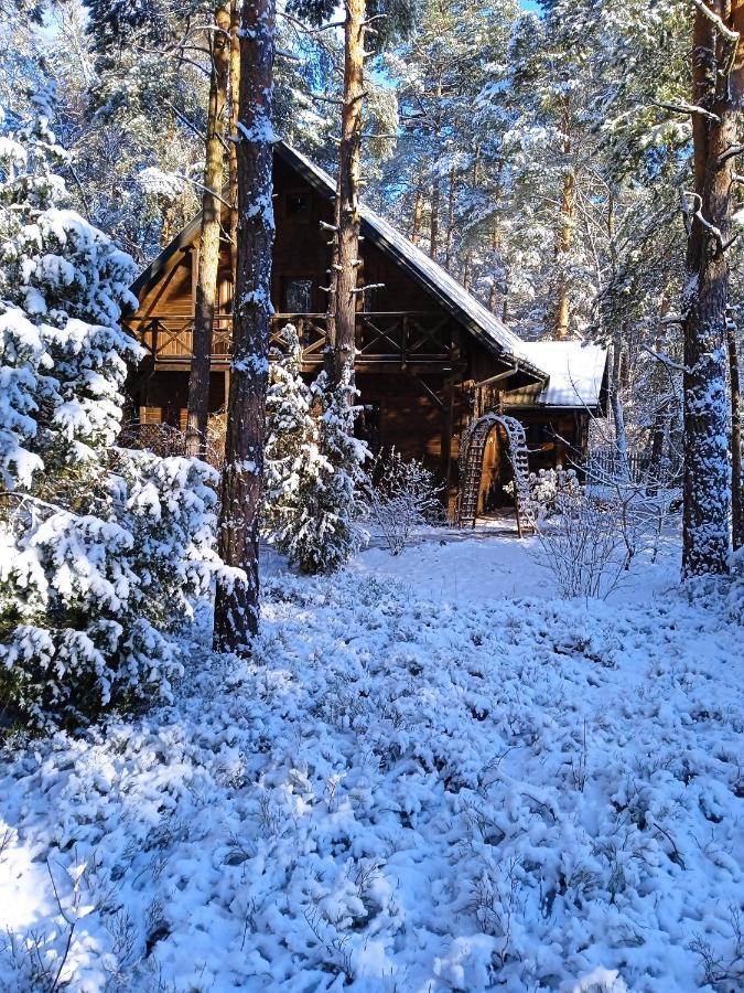Вилла Lesna Ostoja Nad Pilica Lechanice Экстерьер фото