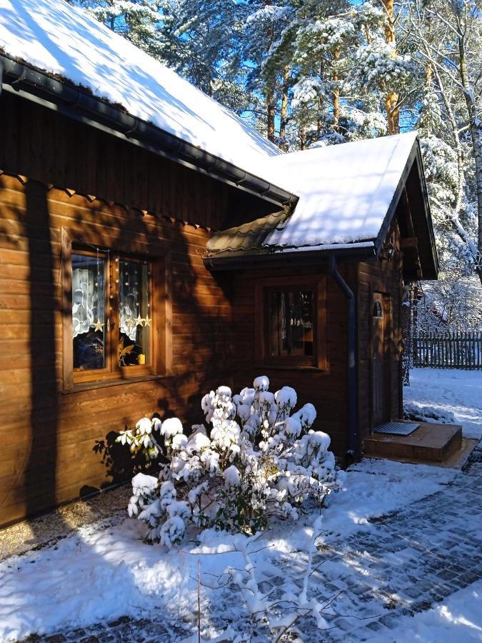 Вилла Lesna Ostoja Nad Pilica Lechanice Экстерьер фото